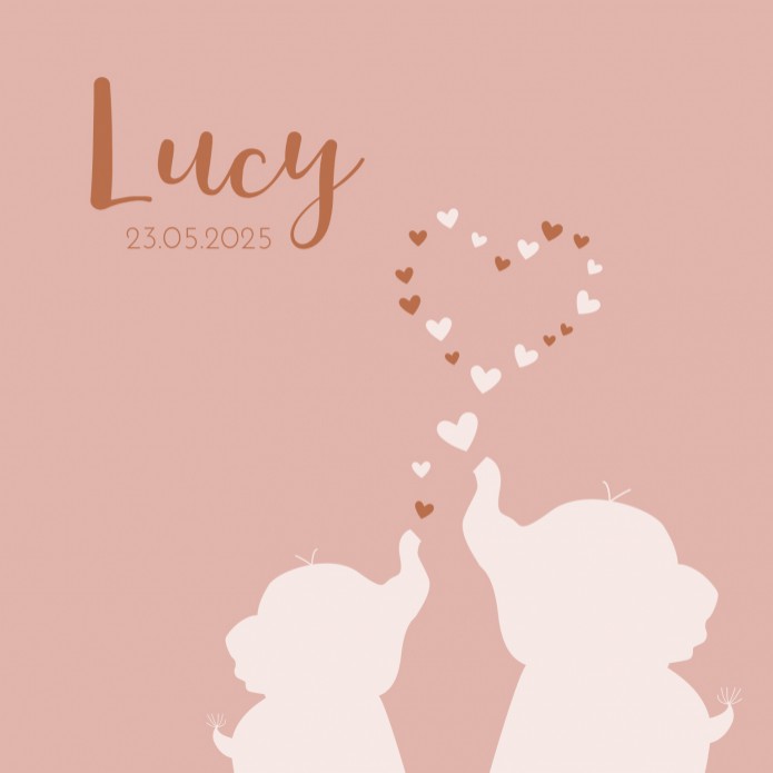 Geboortekaartje meisje zusje roze olifantjes Lucy