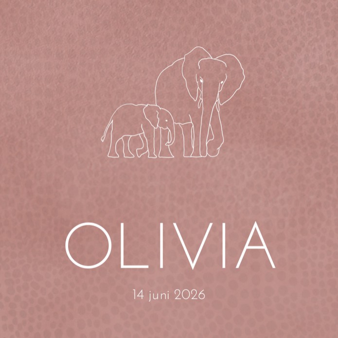 Geboortekaartje meisje roze olifanten Olivia