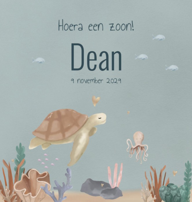 Geboortekaartje jongen schildpad onderwaterwereld Dean