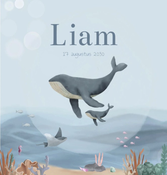 Geboortekaartje jongen walvis zeedieren Liam