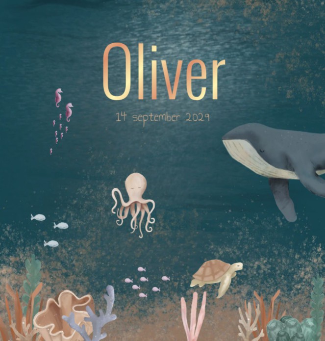 Geboortekaartje jongen onderwaterwereld blauw Oliver
