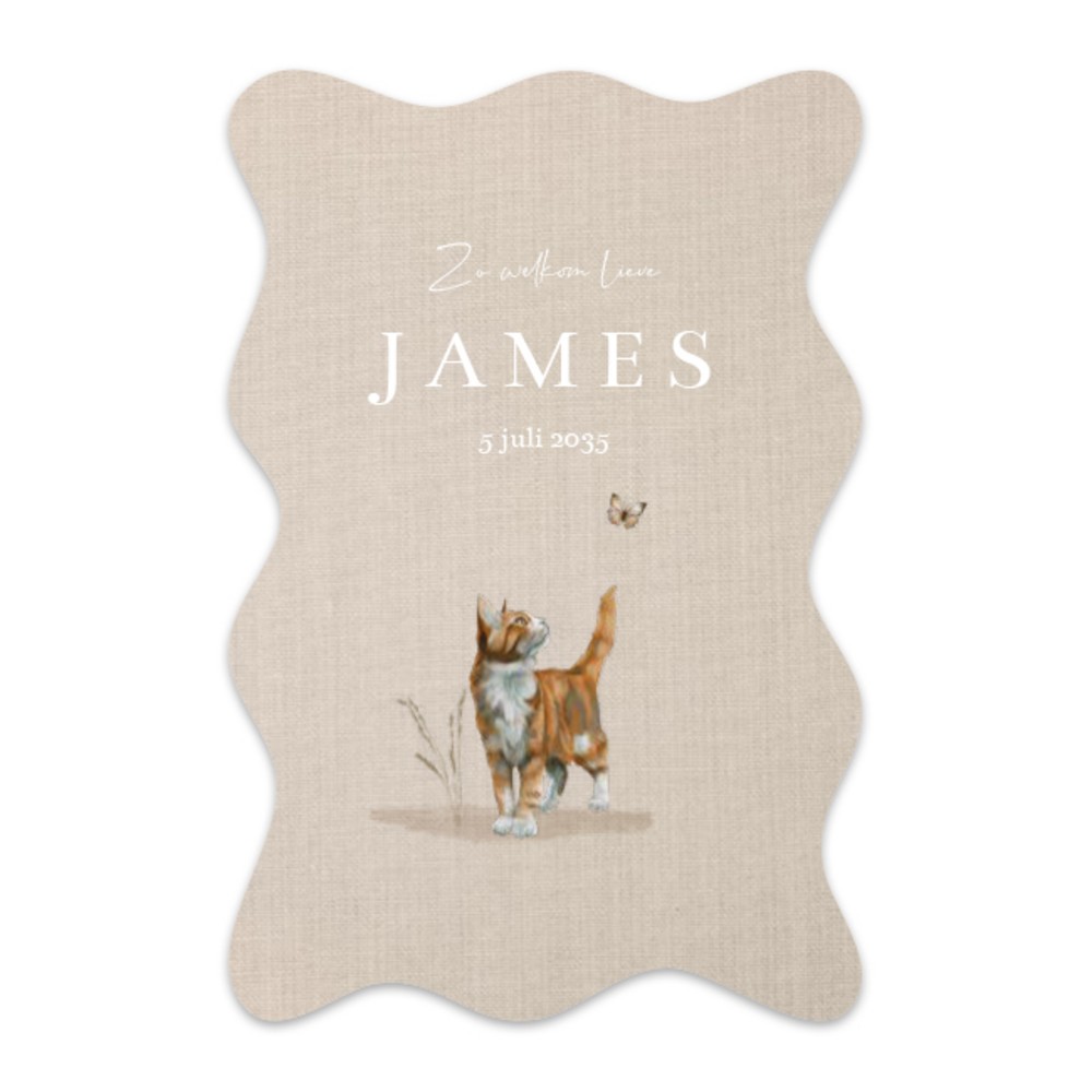 Geboortekaartje neutraal originele vorm kat James