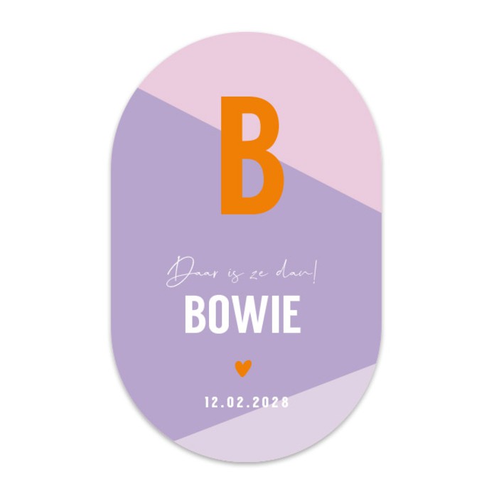 Geboortekaartje color blocking trend Bowie