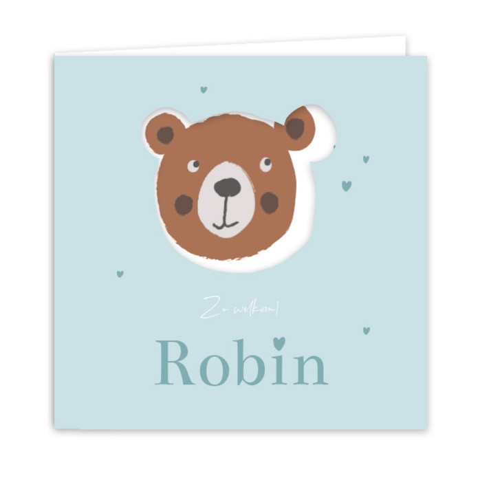 Geboortekaartje jongen uitsnede beer Robin