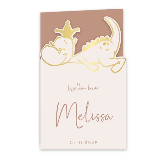 Geboortekaartje meisje draakje Melissa