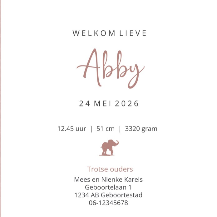 Geboortekaartje Prénatal meisje olifant roze Abby