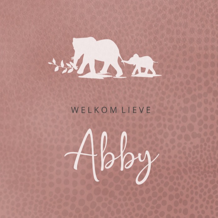 Geboortekaartje Prénatal meisje olifant roze Abby