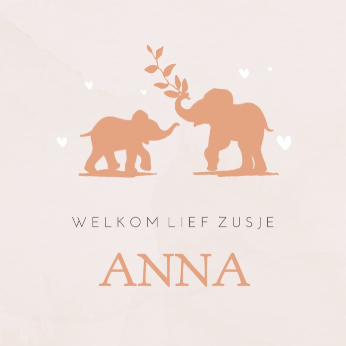 Geboortekaartje Prénatal meisje silhouette olifant Anna