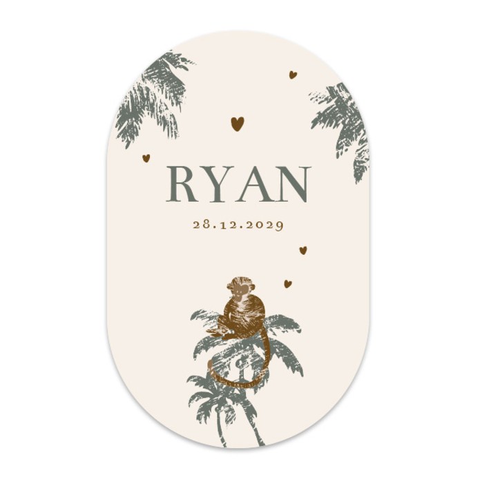Geboortekaartje jongen aap Ryan