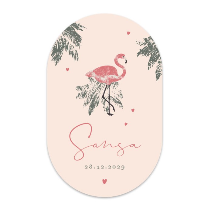 Geboortekaartje meisje flamingo Sansa