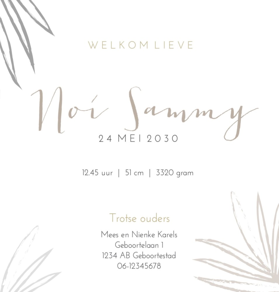 kaart binnenzijde rechts