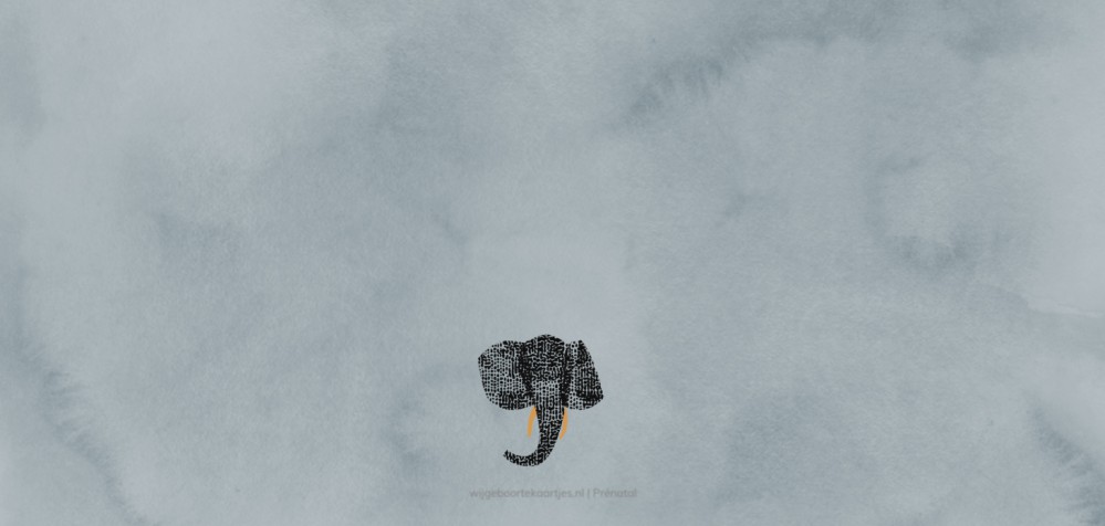Geboortekaartje Prénatal olifant Bink achter