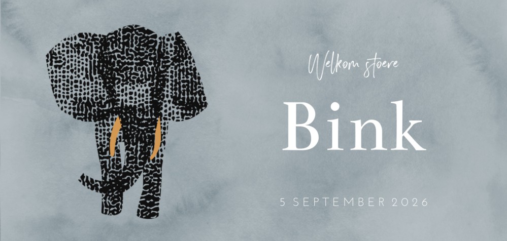 Geboortekaartje Prénatal olifant Bink