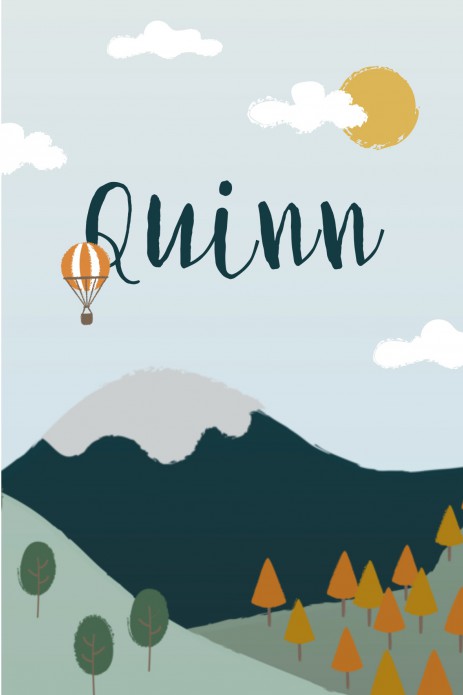 Geboortekaartje landschap bergen Quinn voor