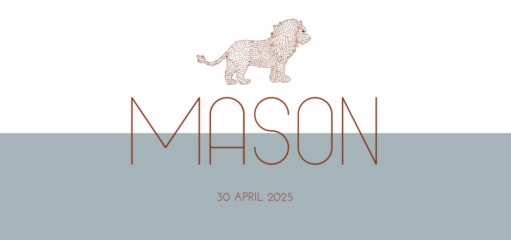 Geboortekaartje jongen leeuw Mason