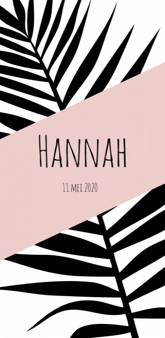 Geboortekaartje roze wit Hannah