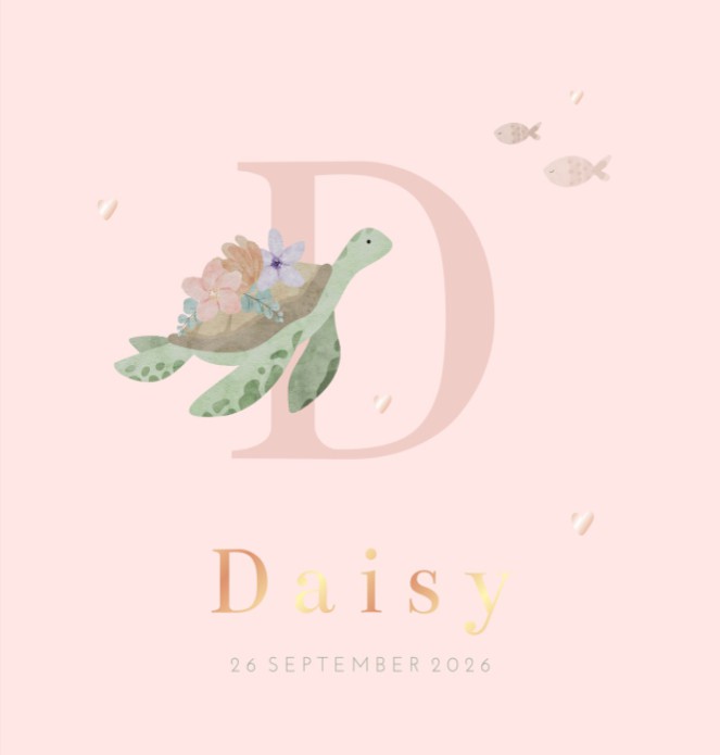 Geboortekaartje meisje schildpad initiaal Daisy