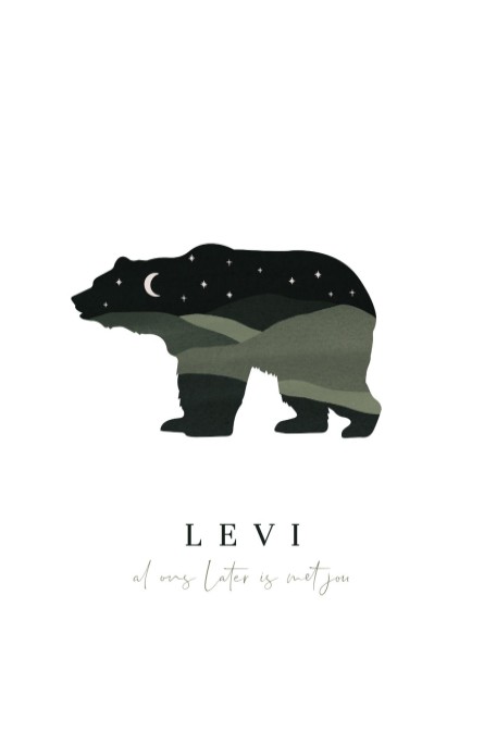 Geboortekaartje jongen silhouet beer Levi