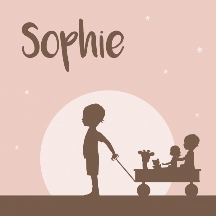Geboortekaartje silhouet roze broertjes en zusje Sophie