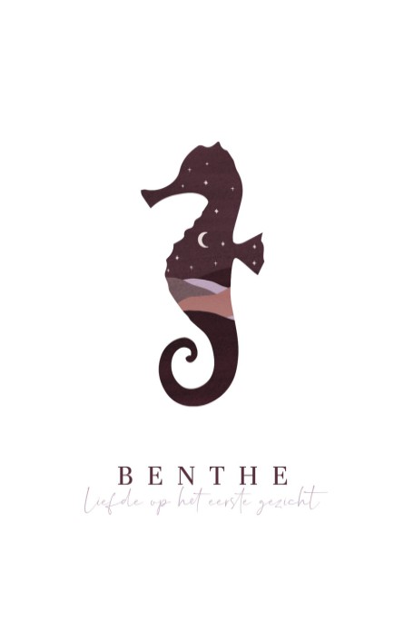 Geboortekaartje meisje silhouet zeepaardje Benthe