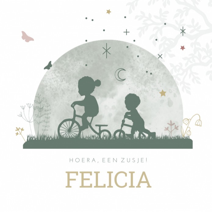 Geboortekaartje groen silhouette zusjes Felicia