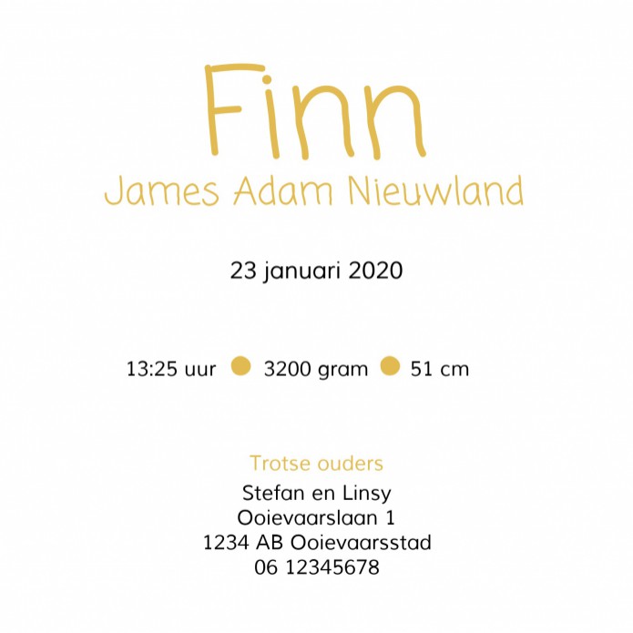 Geboortekaartje Stippen Finn