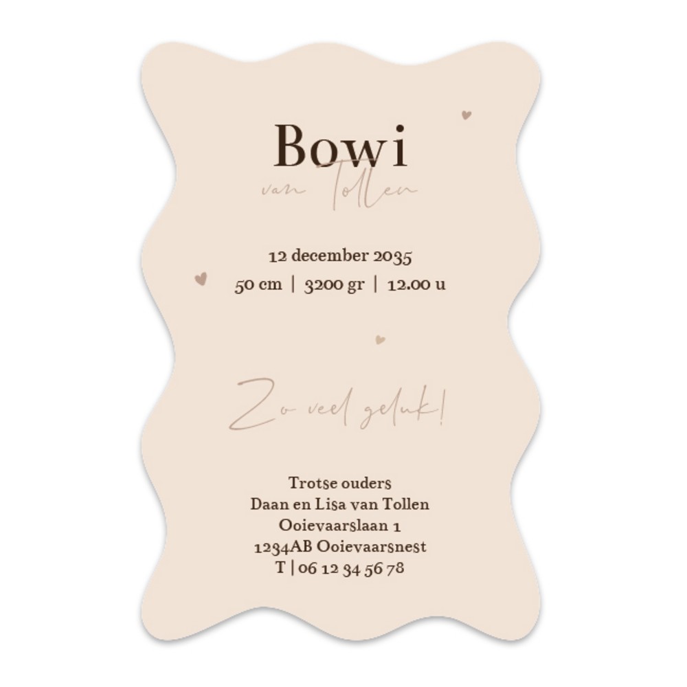 Achterkant van geboortekaartje Bowi