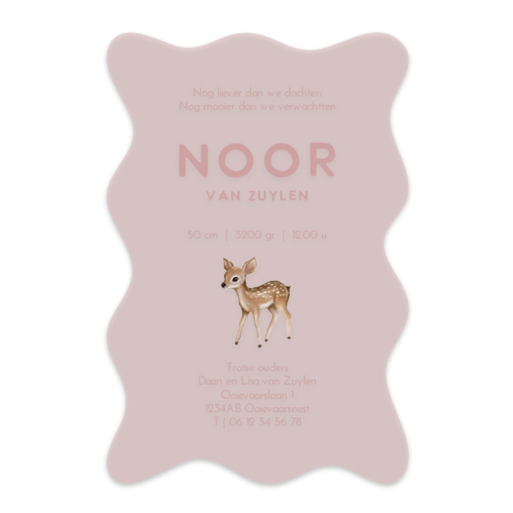 Achterkant van geboortekaartje Noor