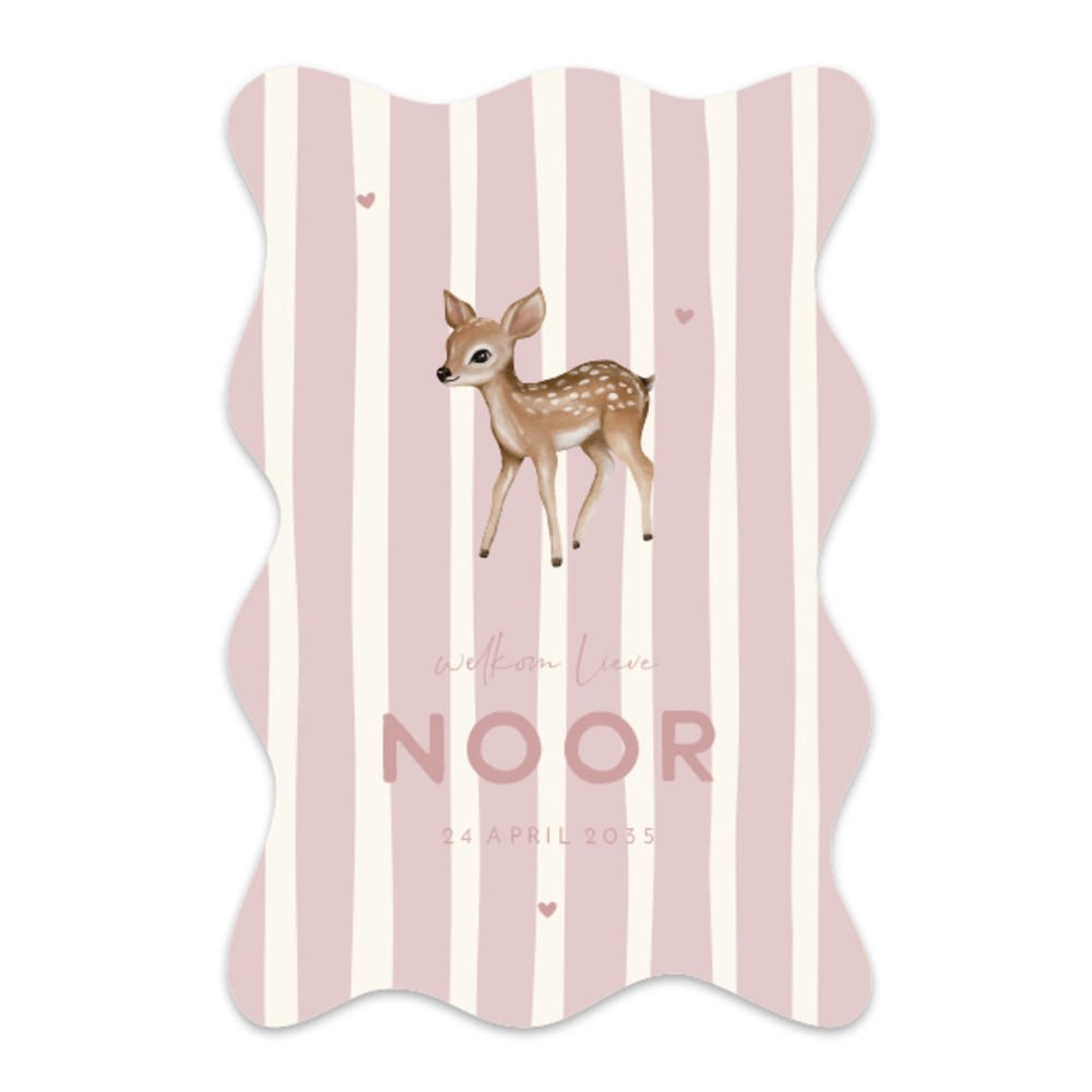 Voorkant van geboortekaartje Noor
