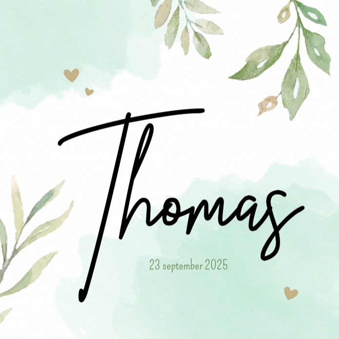 Geboortekaartje Takjes Thomas