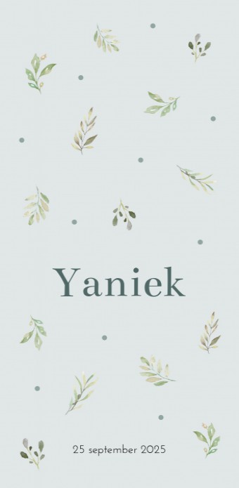 Geboortekaartje Takjes Yaniek