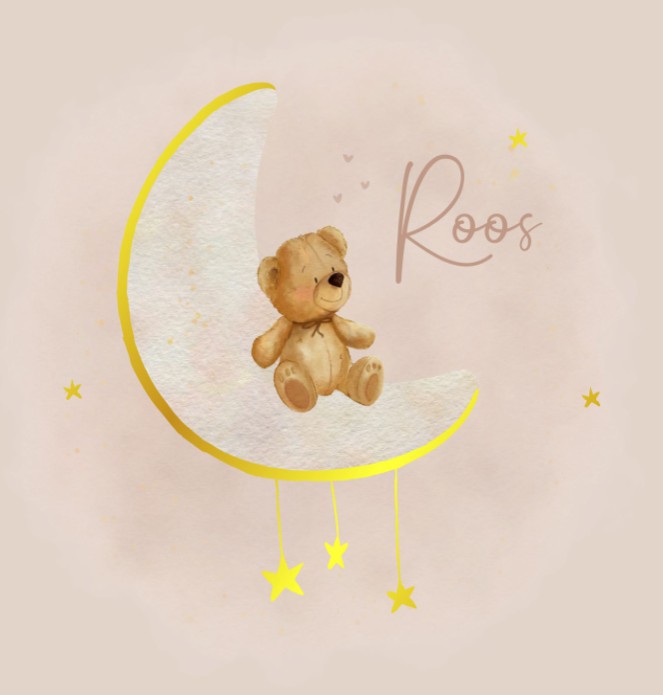 Geboortekaartje meisje teddybeer maan Roos