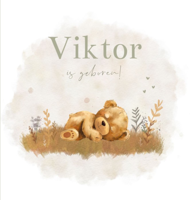 Geboortekaartje jongen teddybeer Viktor