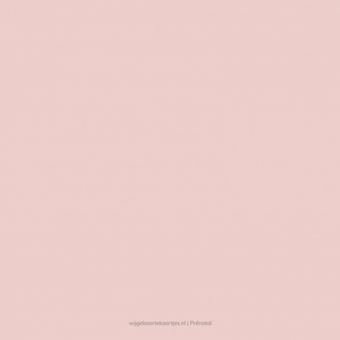 Geboortekaartje Prénatal meisje roze panter Tess achter