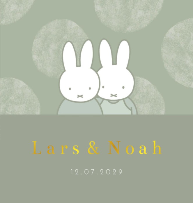 Geboortekaartje tweeling nijntje stippen Lars en Noah