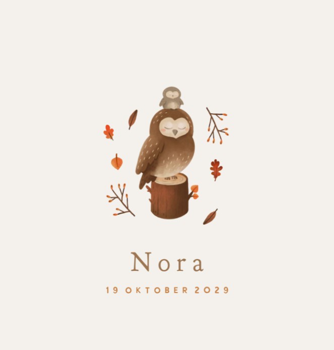 Geboortekaartje neutraal uiltjes Nora