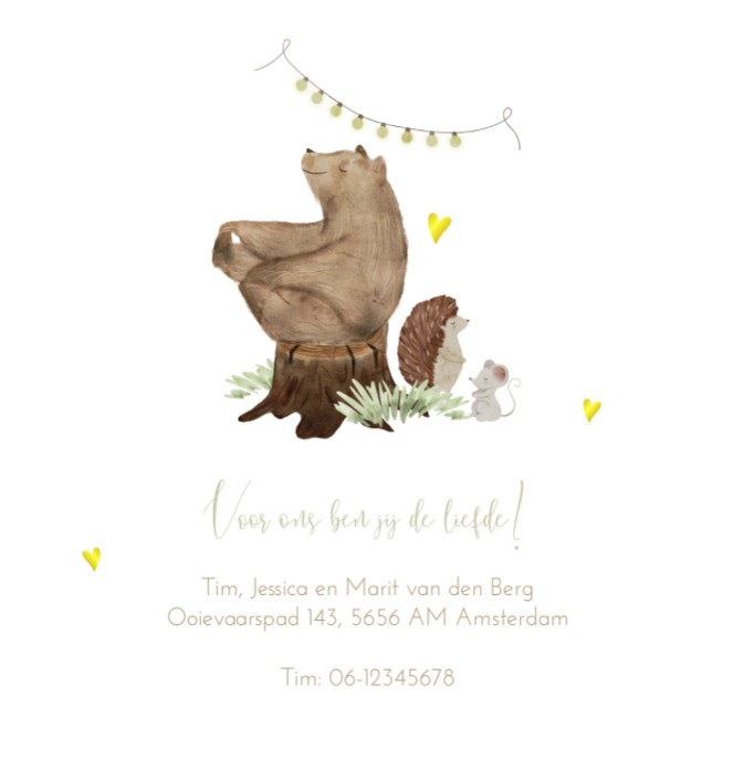 Geboortekaartje neutraal beige beer Juun