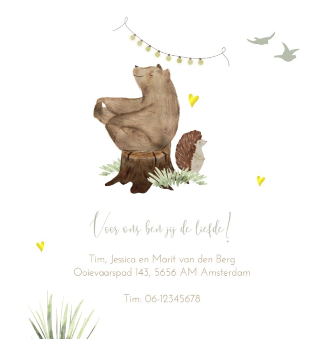 Geboortekaartje neutraal bos beer groen Liva