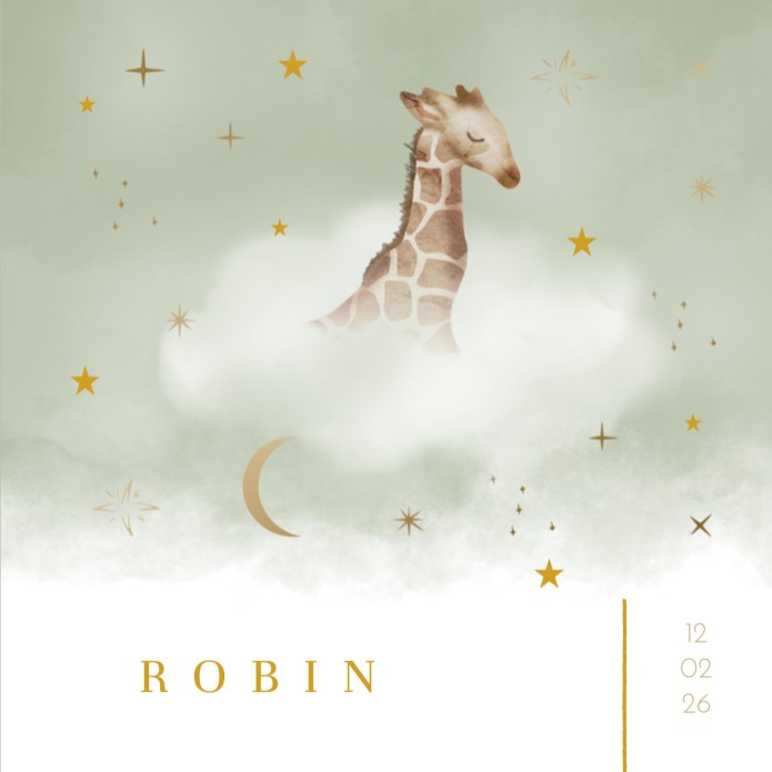 Geboortekaartje neutraal giraffe wolken groen Robin