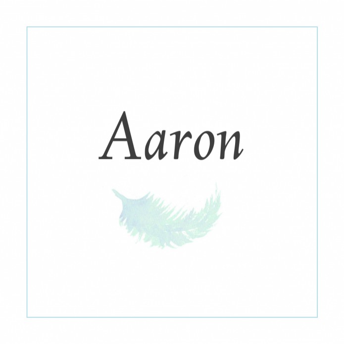 Geboortekaartje Veertje Aaron