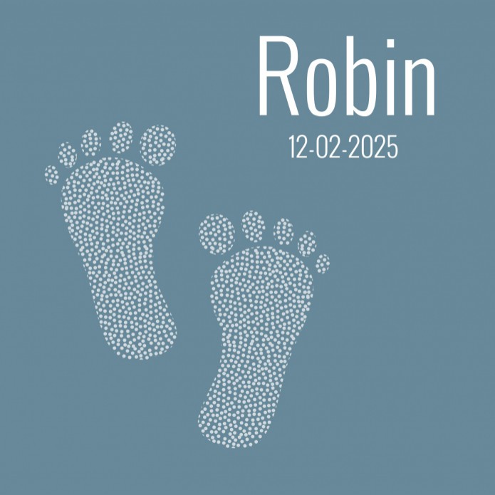 Geboortekaartje voetjes stipjes blauw Robin