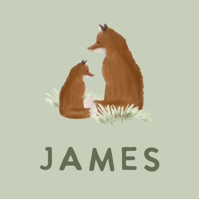 Geboortekaartje jongen vos dieren James voor