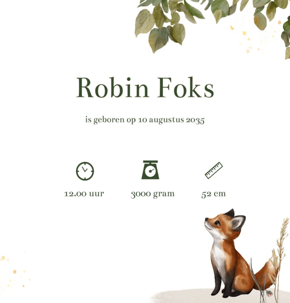 Rechter binnenzijde van geboortekaartje Robin