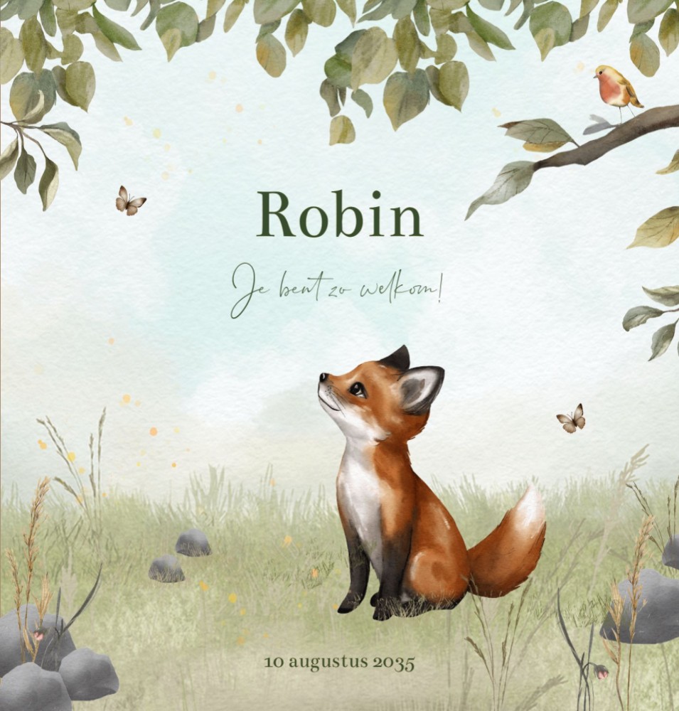 Voorkant van geboortekaartje Robin