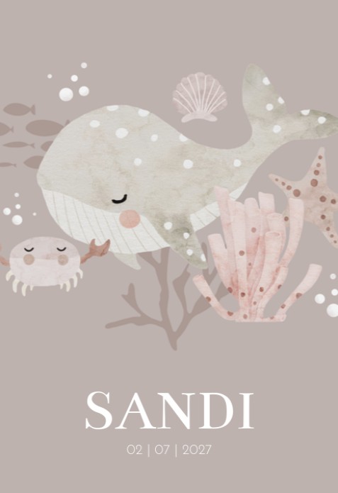 Geboortekaartje meisje walvis Sandi