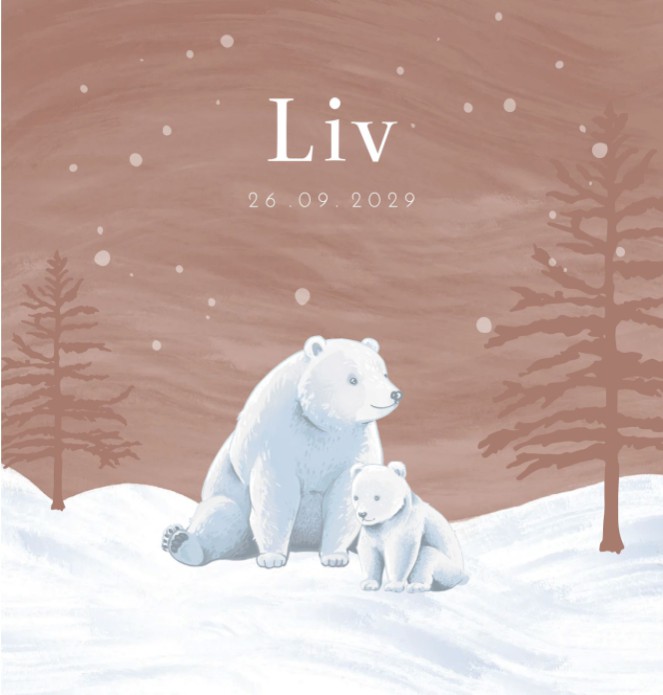 Geboortekaartje meisje winter ijsbeer Liv