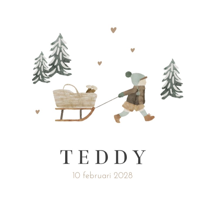 Geboortekaartje jongen slee winter Teddy