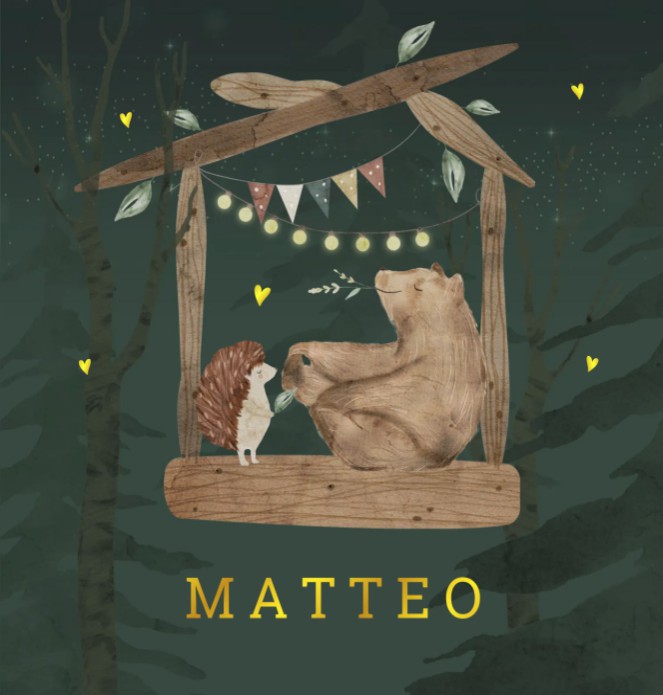 Geboortekaartje jongen beer egel Matteo