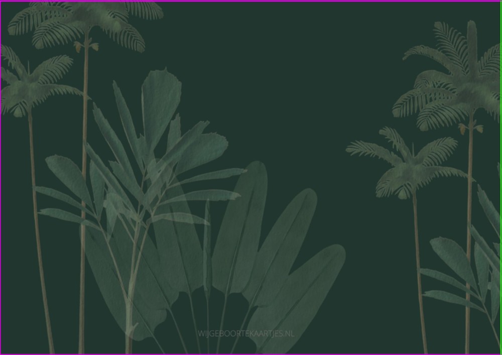 Geboortekaartje zoon boog jungle giraf Quinn