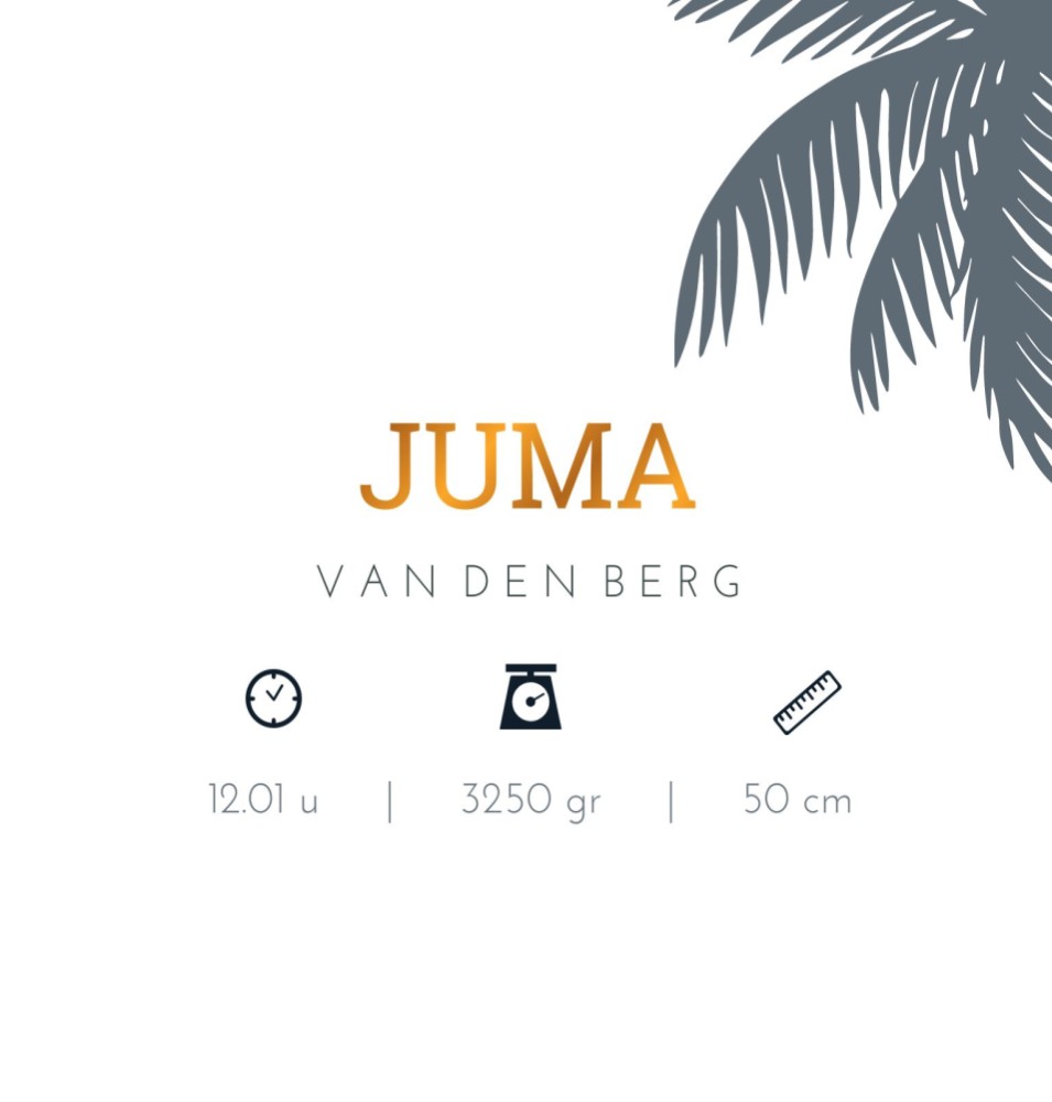 kaart binnenzijde rechts